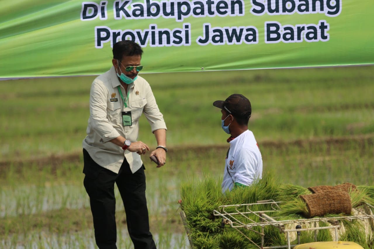 PDB Triwulan II 2020, Sektor Pertanian Tumbuh Paling Tinggi