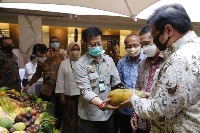 Tingkatkan Laju Ekspor, Kementan Fokus Budidaya Buah Nasional