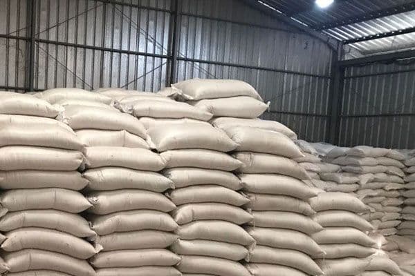 Stok Beras Akhir Tahun Aman, Diperkirakan Surplus 7 Juta Ton