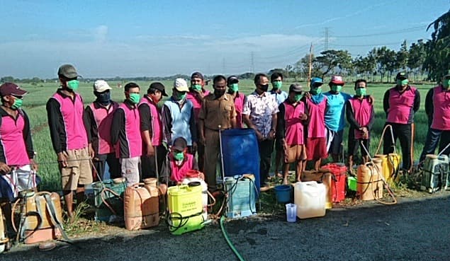 Amankan Produksi Bawang Merah melalui Gerdal OPT
