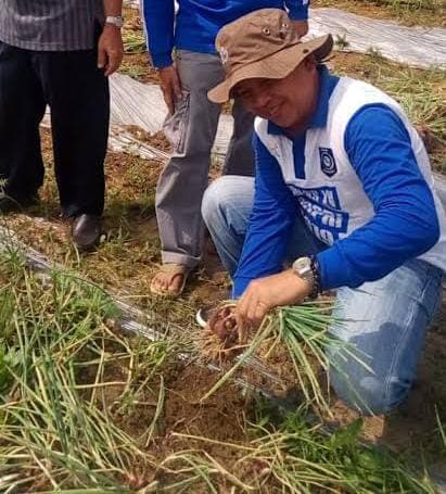 Tingkatkan Pendapatan Petani Singkong Babel, Kementan Beri Bantuan Saprodi