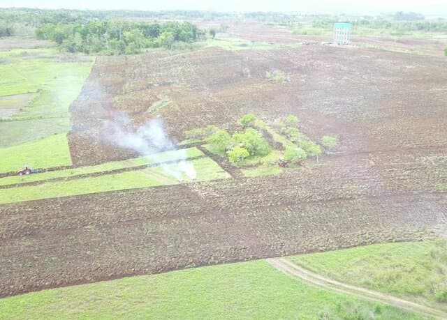 Kementan-Bupati Sumba Tengah Lakukan Percepatan Tanam Kawasan Food Estate