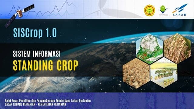 Kementan Gunakan Data Radar untuk Monitor Padi