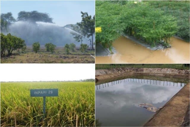 Teknologi Ramah Lingkungan Dukung Pembangunan Rendah Karbon