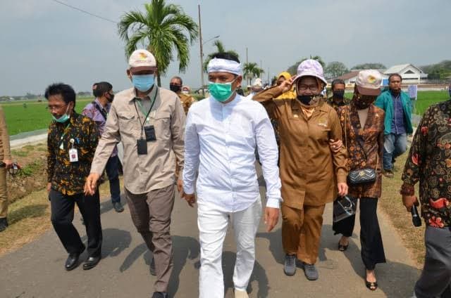 Wakil Ketua Komisi IV Ajak Masyarakat Hargai Jerih Payah Petani