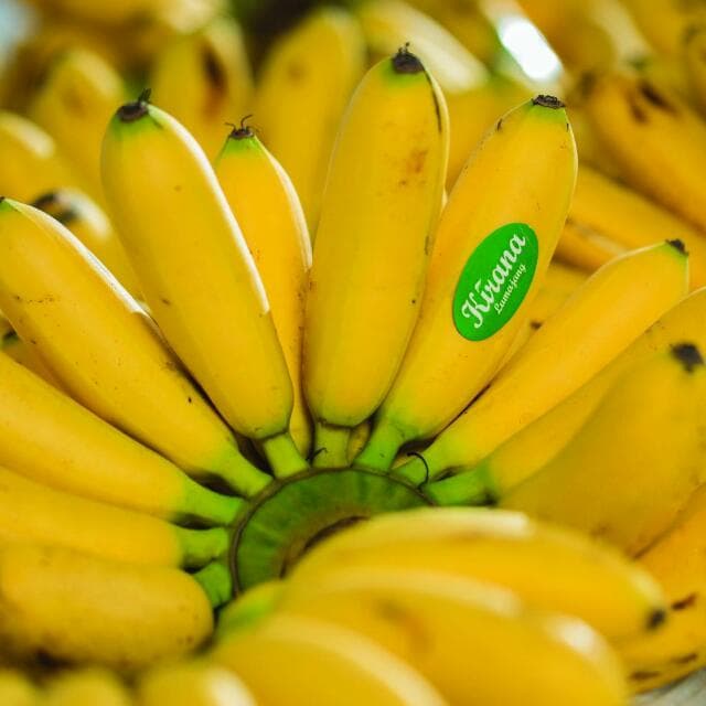 Konsumsi Buah Matang Alami, Tingkatkan Imunitas Diri