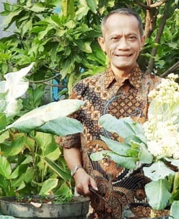 Jelang Puasa, Kementan Gencarkan Gelar Pangan Murah