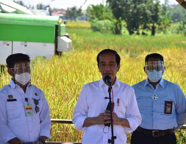 Presiden Jokowi Senang Produktivitas Padi Tinggi dan Harga Gabah Petani Naik