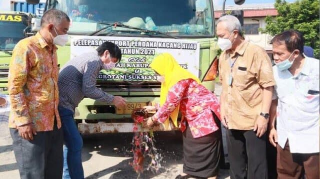 Kacang Hijau Hasil Petani Gresik Kembali Diekspor ke Filipina