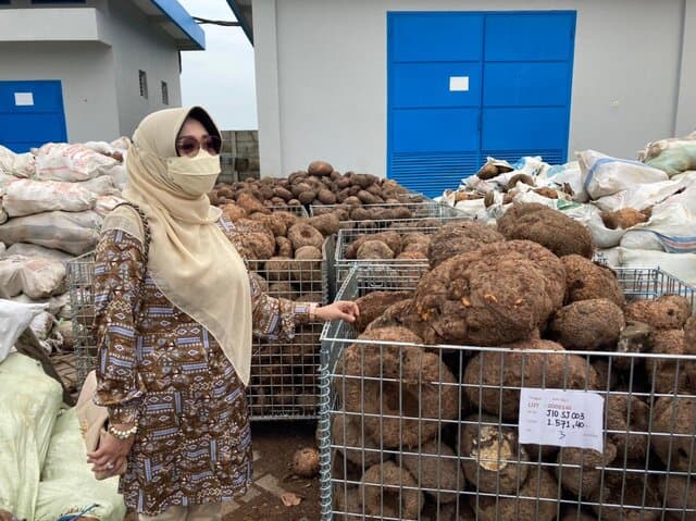 Komisi IV Apresiasi Kementan dan Mendorong Jawa Timur Jadi Produsen Utama Porang