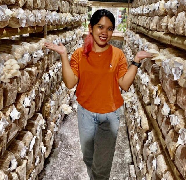 Mengandung Protein Tinggi, Permintaan Jamur Meningkat Di Tengah Pandemi Covid-19