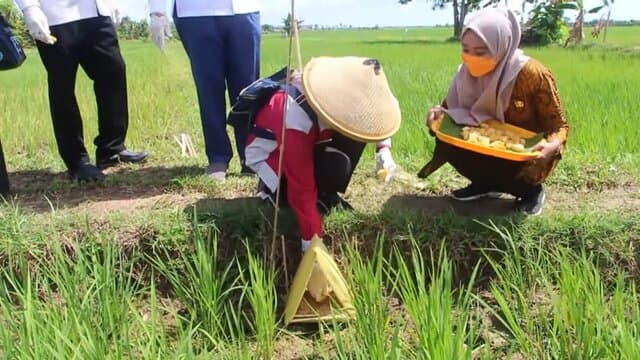 Kedepankan Pengendalian Ramah Lingkungan, Kementan Dukung Penggunaan Pestisida Biologi