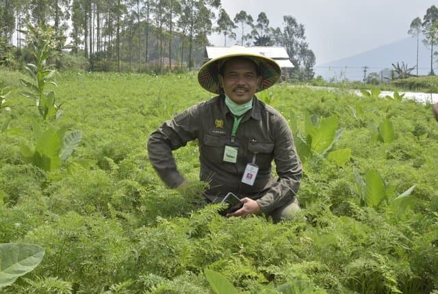 Kejar Produksi Tinggi, Hampir 500 Jenis Varietas Benih Padi Telah Dilepas Kementan