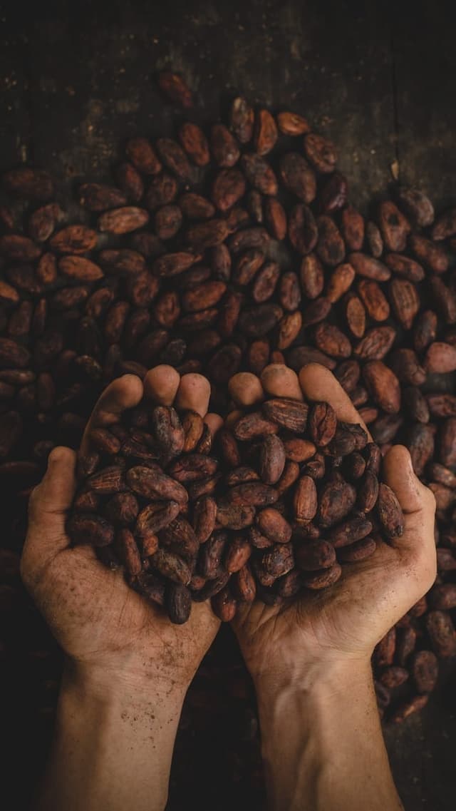 Manfaat Minum Kopi Setiap Hari