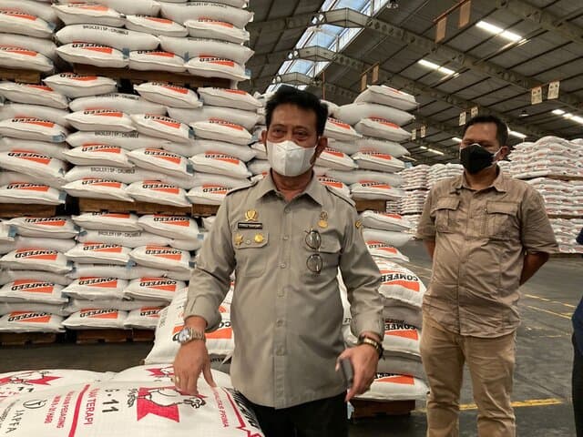 Tepis Isu Jagung Langka, Mentan Cek Stok Jagung Pabrik Pakan