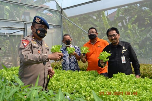 Kementan Ajak Masyarakat Gencarkan Penganekaragaman Pangan