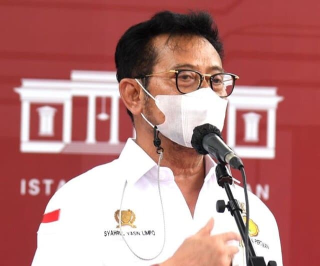 Kementan Tindaklanjuti Arahan Presiden Tingkatkan Produksi Jagung