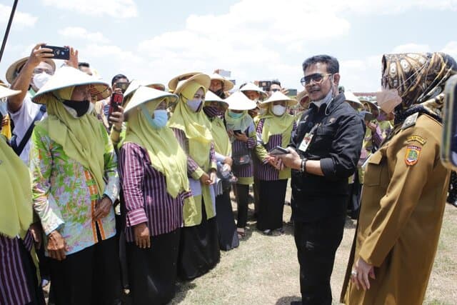Luar Biasa, Indonesia Bisa Panen Padi 4 Kali Setahun