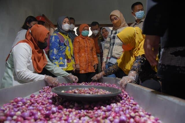 Kunjungi Brebes, Kementan Dorong Penumbuhan UMKM Hortikultura Tingkatkan Diversifikasi Olahan