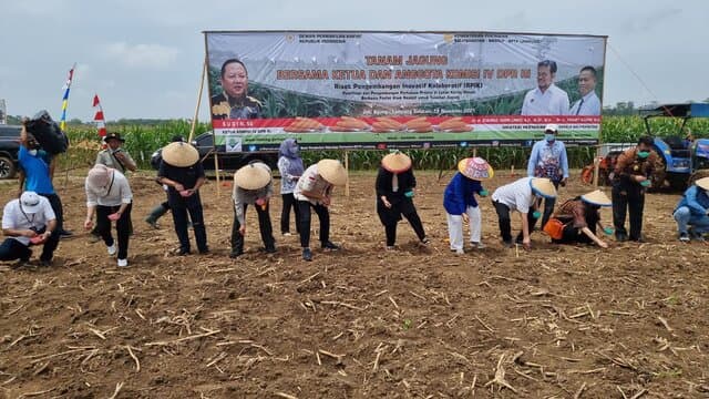 Panen dan Tanam Jagung di Lampung, DPR RI Apresiasi Kinerja Kementan