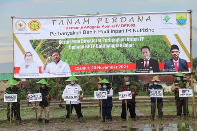 Komisi IV Apresiasi Penanaman Perdana Inpari Nutrizinc Kementan di Cianjur