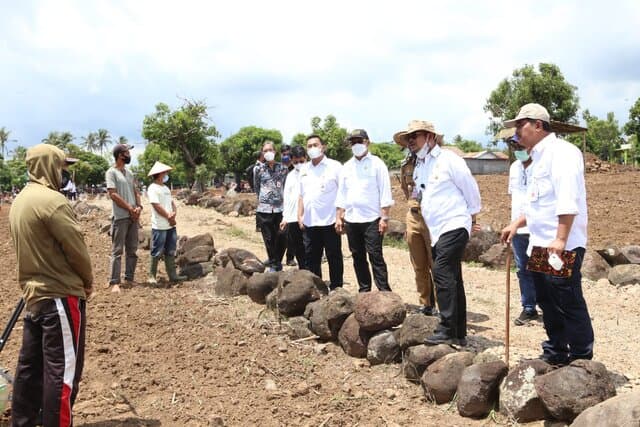 Kementan: Stok Jagung Nasional Diperkuat Di Sentra Produksi