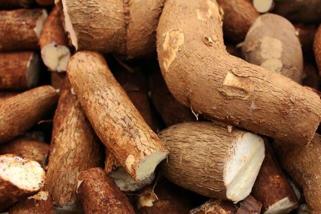 Potensi Singkong di Flores, Pengungkit Kesejahteraan Petani Nusa Tenggara Timur