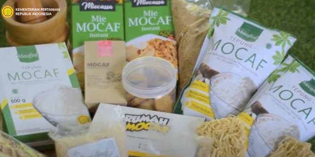 Kementan Dukung  Pengembangan Mocaf dari Singkong Hingga Ekspor