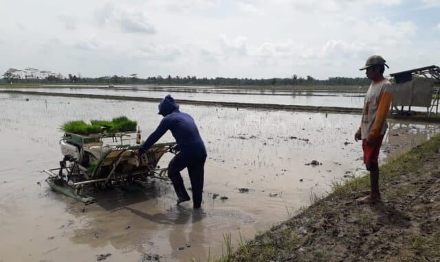 Lampung Siap Genjot Pertanaman Jadi 4 Kali Setahun dan Mitigasi Dampak Perubahan Iklim