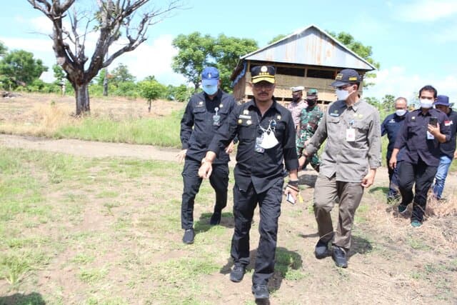 Mentan SYL Pastikan Pertanaman Jagung di Jeneponto Kondisi Bagus