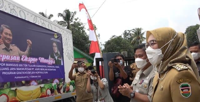 Kementan Lepas 3,5 Ton Manggis Purwakarta ke Tiongkok