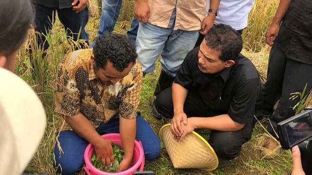 Kementan Mendukung dan Mengkaji Inovasi Terbaru Untuk Produksi Tanaman Pangan