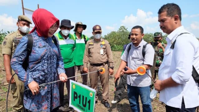 Langkah Awal Tekan Biaya Produksi, Kabupaten Grobogan Lakukan Demplot Ramuan Biosaka