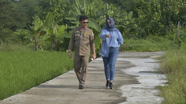 Mentan SYL Cek Pertanaman Padi Pola IP 400 di Klaten