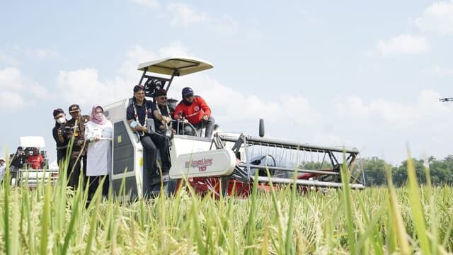FAO Apresiasi Capaian Kinerja Pertanian Indonesia