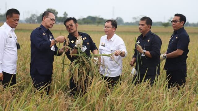 Memperhatikan Ekosistem, Pakar IPB Dukung Pola Tanam IP 400
