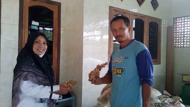 Heri Sulaksono, Petani Jahe Sukses Yang Dimulai Dari Keprihatinan