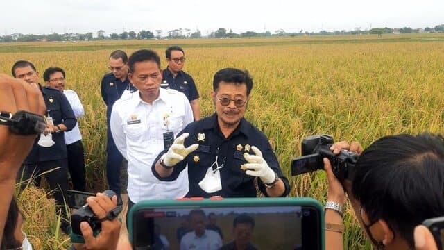 Mentan SYL Dorong Varietas Unggul Untuk Tingkatkan Produksi Padi Nasional