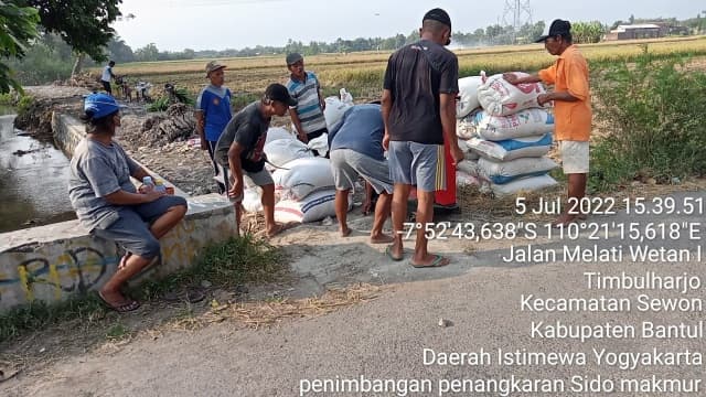 Petani Bantul Siap Penuhi Benih Genjah Kebutuhan IP 400/OPIP Secara Insitu