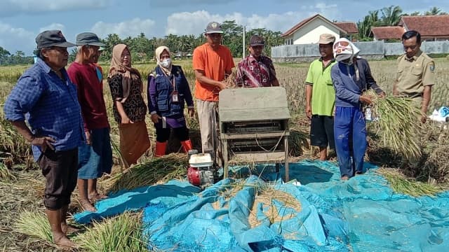 Lewat FFD, Ratusan Petani Kebumen Digembleng Program CSA Kementan