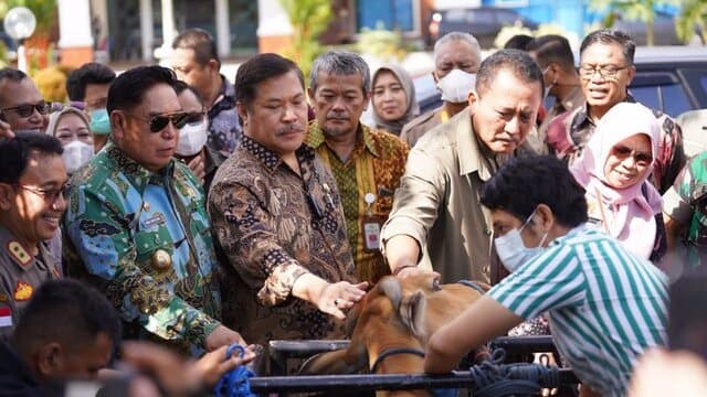 Jaga Ternak Kita Wujudkan Sulawesi Bebas PMK