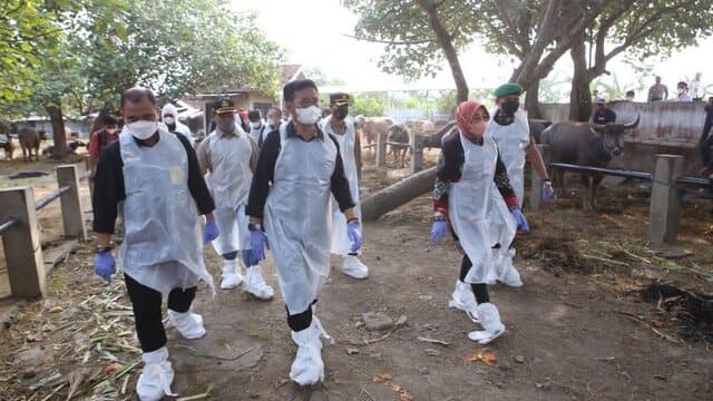 Wujudkan Jateng Zero PMK, Mentan SYL Tinjau Vaksinasi di Grobogan