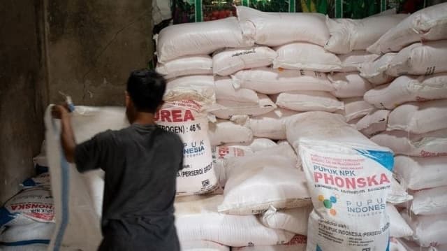 Pupuk NPK dan Urea Dinilai Tingkatkan Produktivitas Tanaman