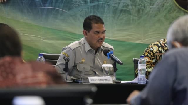 BPS: Periode 2019 Sampai Juni 2022, Cadangan Beras Nasional Surplus