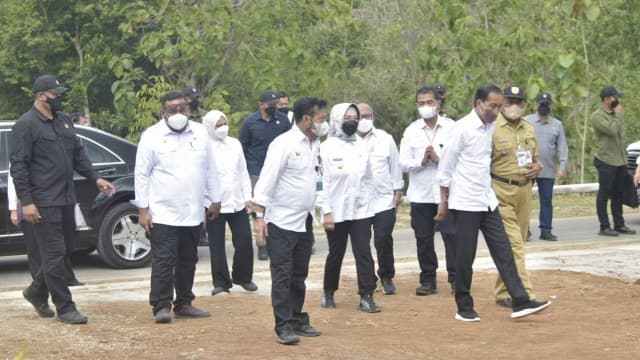 Tingkatkan Pendapatan Masyarakat, Presiden Jokowi Resmi Luncurkan Program Kelapa Genjah 1 Juta Batang