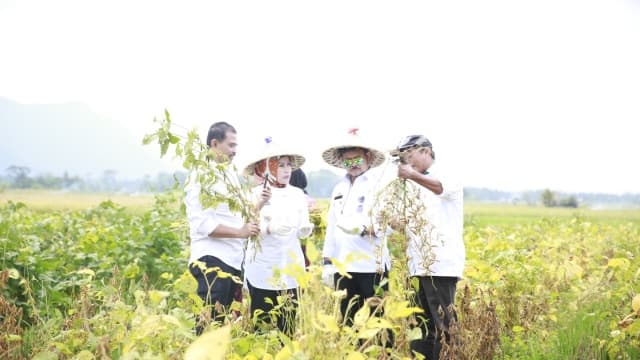 Kementan Panen Kedelai Produktivitas Tinggi Guna Percepatan Peningkatan Produksi Kedelai