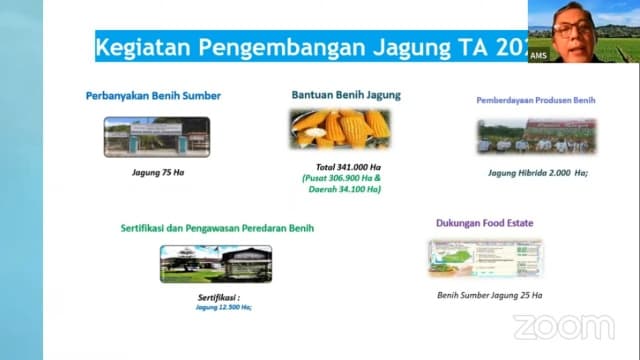 Tingkatkan Produksi Jagung, Kementan Gencarkan Penggunaan Varietas Yang Dilepas