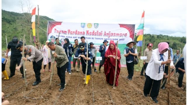 Kementan Lakukan Tanam Perdana Kedelai Anjasmoro Di Bengkulu