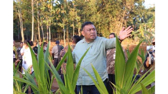 Pengembangan Kelapa Genjah 1 Juta Batang, Kementan Optimalisasi Lahan Pekarangan dan Tak Produktif