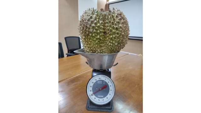 Jambore Hortikultura 2022 Digelar, Buah Raksasa Dan Eksotis Bakal Dilelang Untuk Bantu Korban Gempa Cianjur